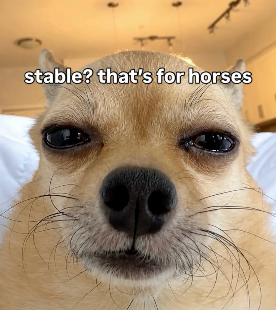 GIF uploaded by Roger