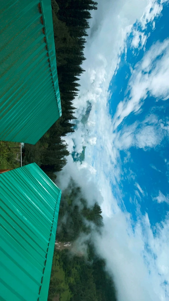 GIF sent inn af Vishal