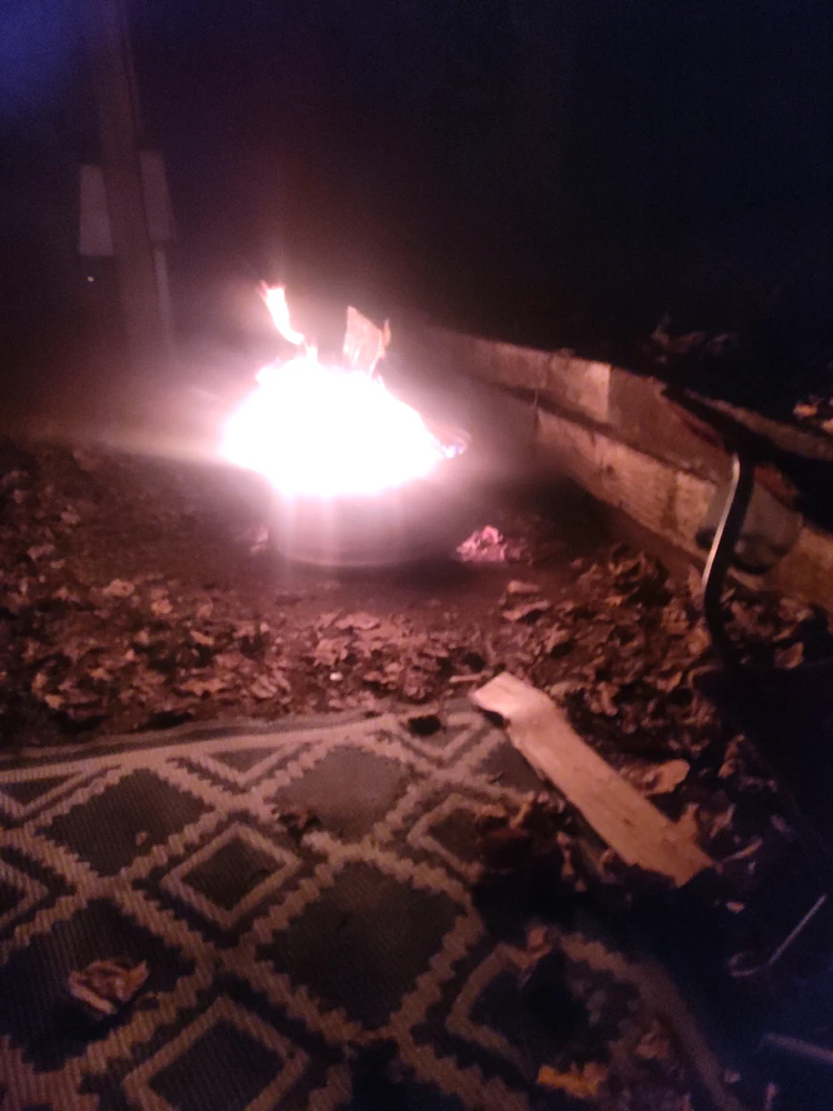 GIF uploaded by Noleafclover