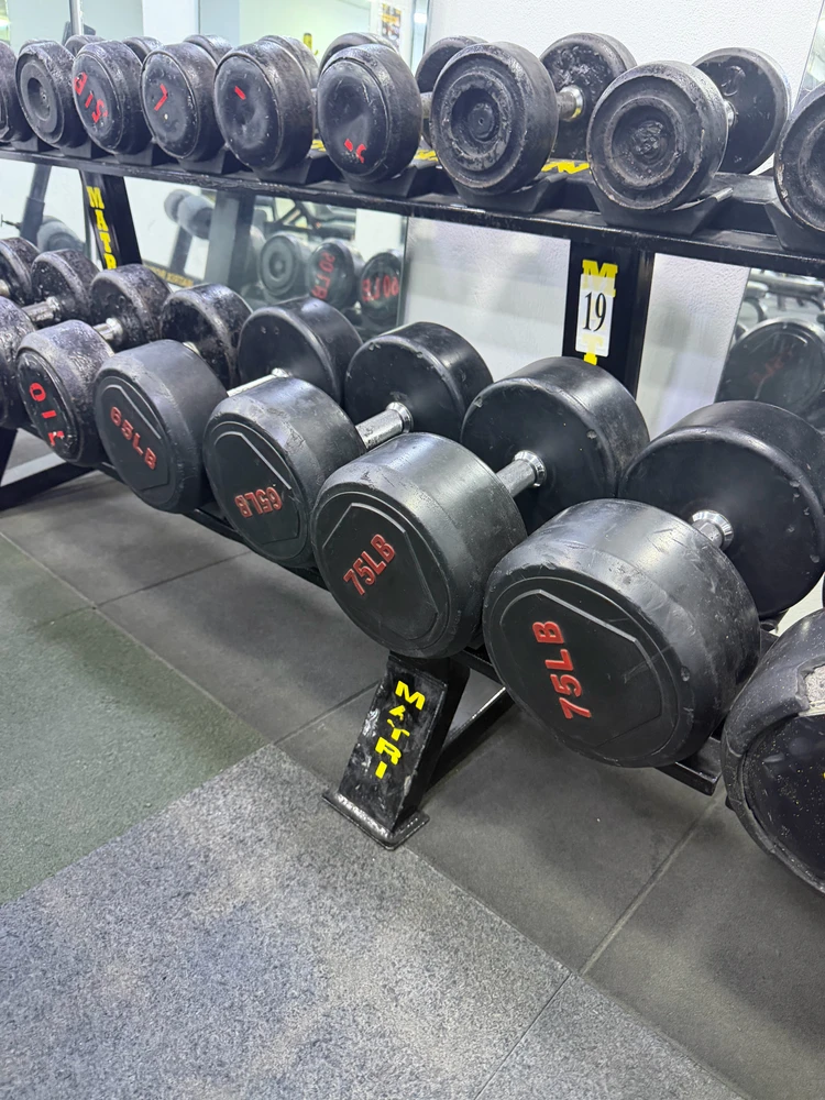 How much weight can you lift ?