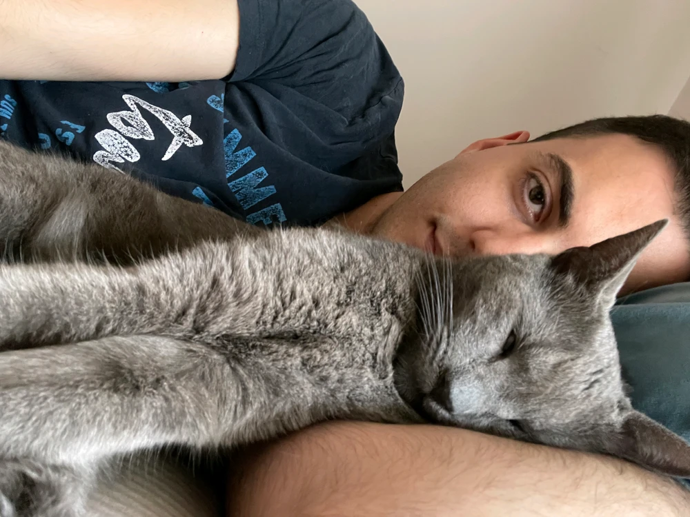 GIF Nemanja tarapyndan ýüklenen