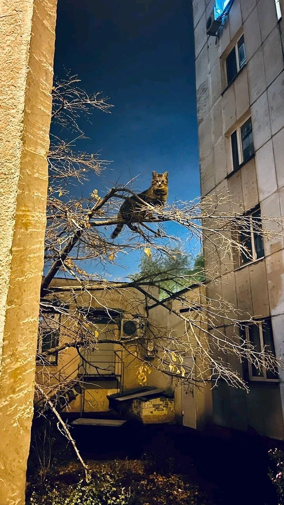 Djay پاران اپ لوڊ ٿيل GIF