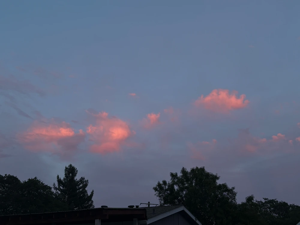 GIF įkėlė Katarina