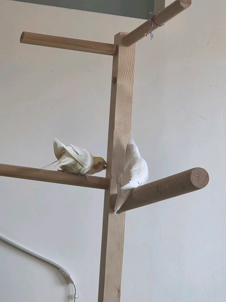 GIF uploaded by Lukáš