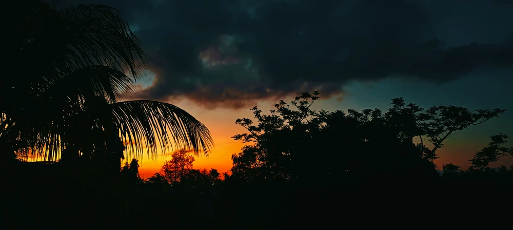 GIF uploaded by αηα