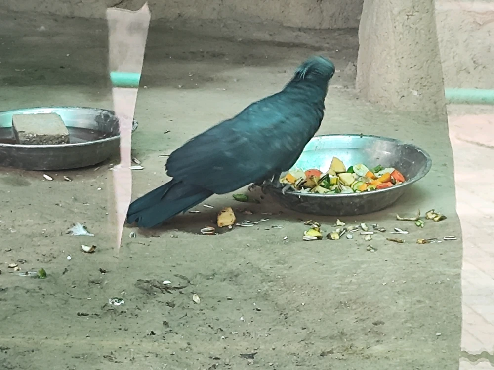 Image uploaded by Abdul hafeez Ahmad