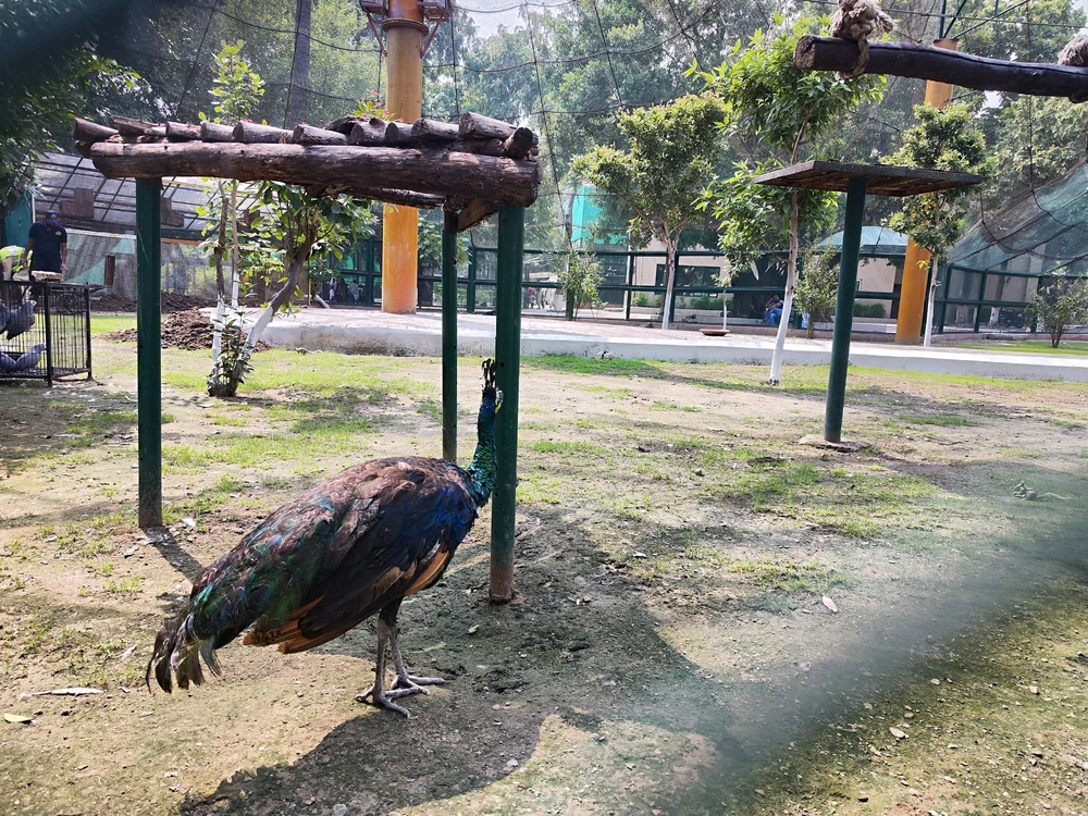 Image uploaded by Abdul hafeez Ahmad