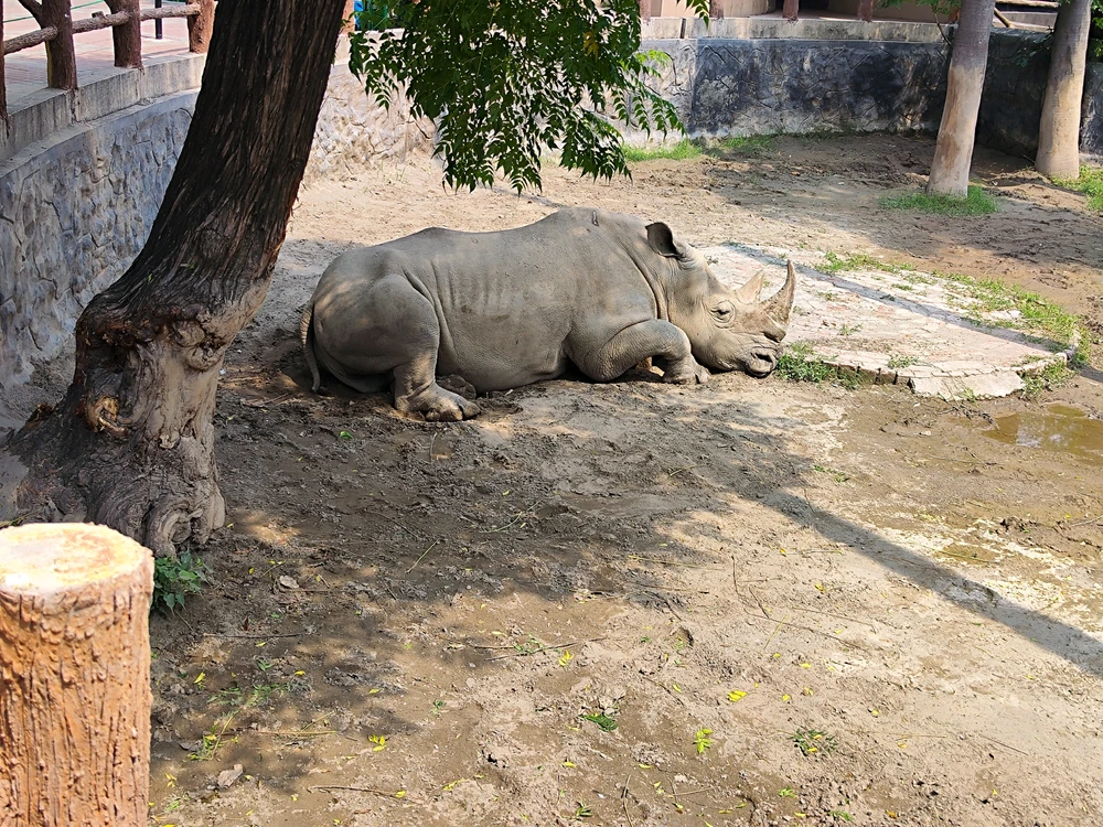 Image uploaded by Abdul hafeez Ahmad