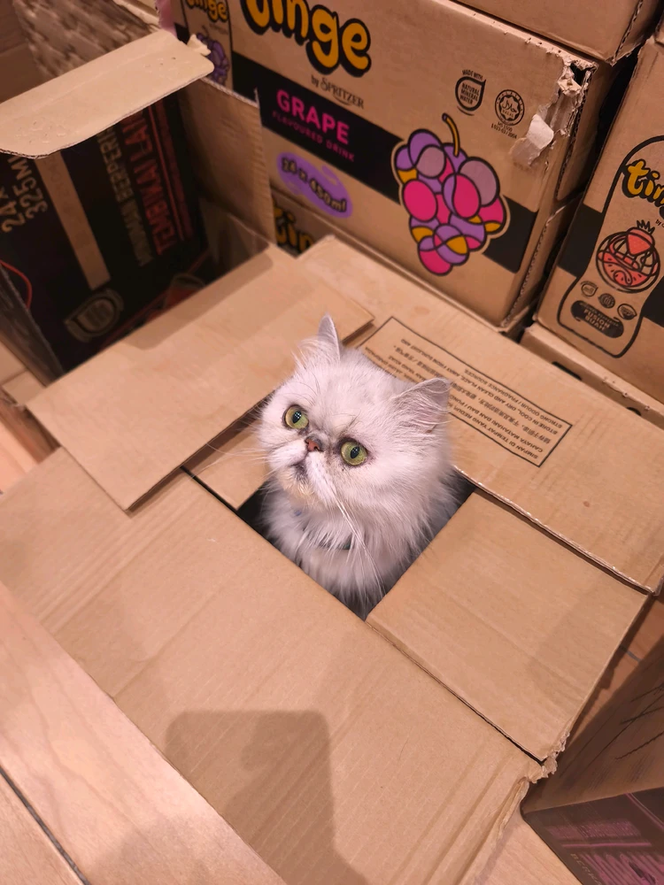 Bild hochgeladen von Peanut