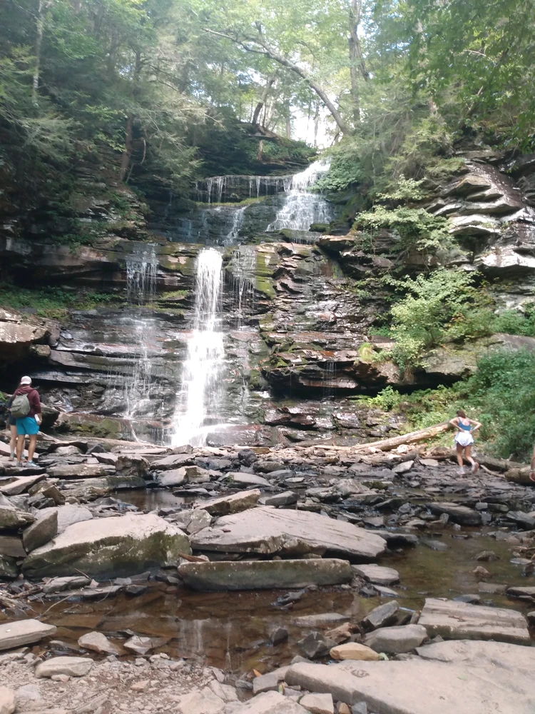GIF uploaded by Julie Whipple