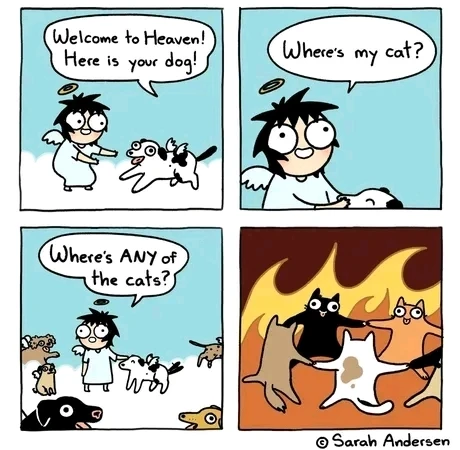 GIF uploaded by Tiago