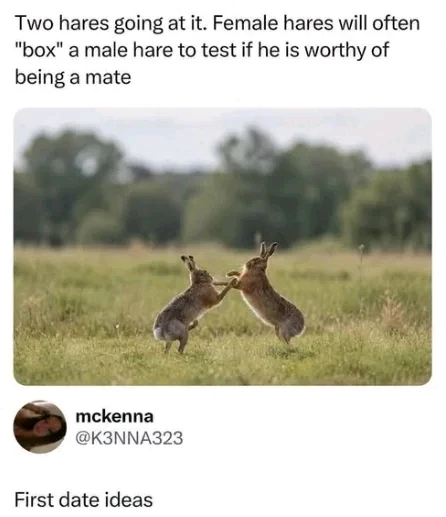GIF dodany przez Tiago