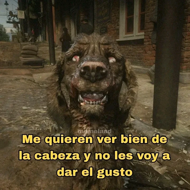 Josmar Francisco Hernández Morales نے GIF اپ لوڈ کی