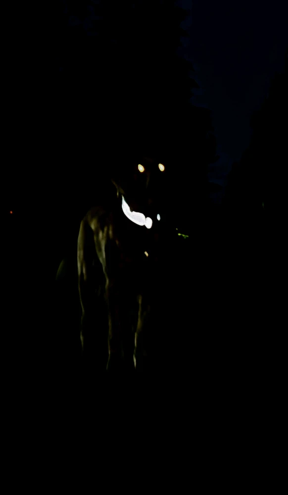 Image uploaded by Bug