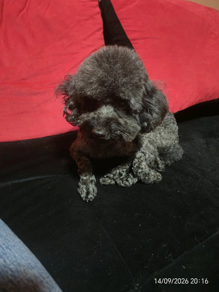 Anja님이 올린 사진