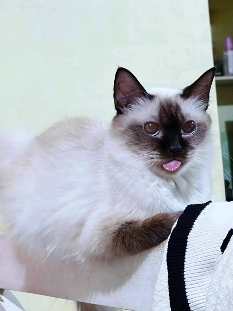 GIF yashyizweho na Marie