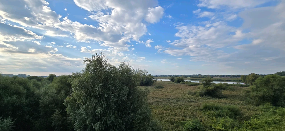 Image uploaded by Ilja