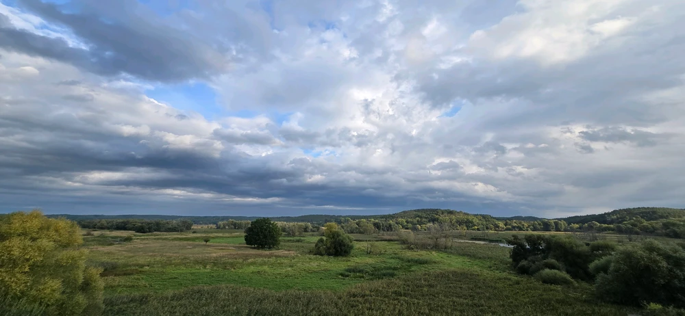 Image uploaded by Ilja