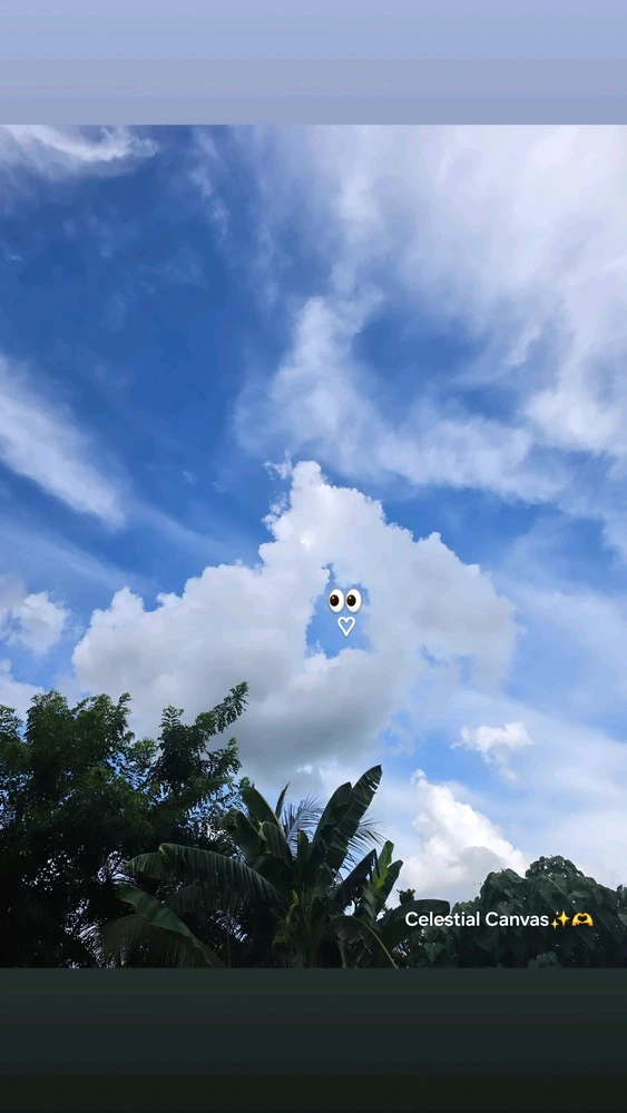 GIF uploaded by SM