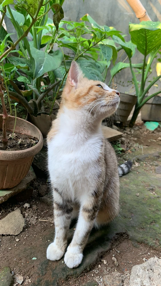 GIF uploaded by velle