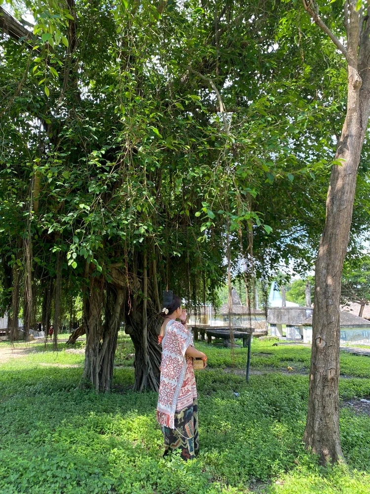 Image uploaded by Mey