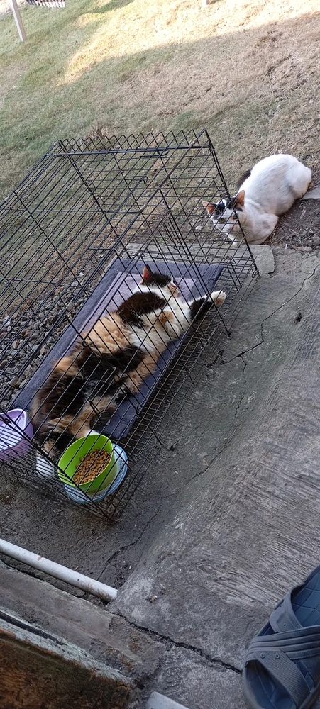 GIF diunggah ku Rike Kusuma Dewi