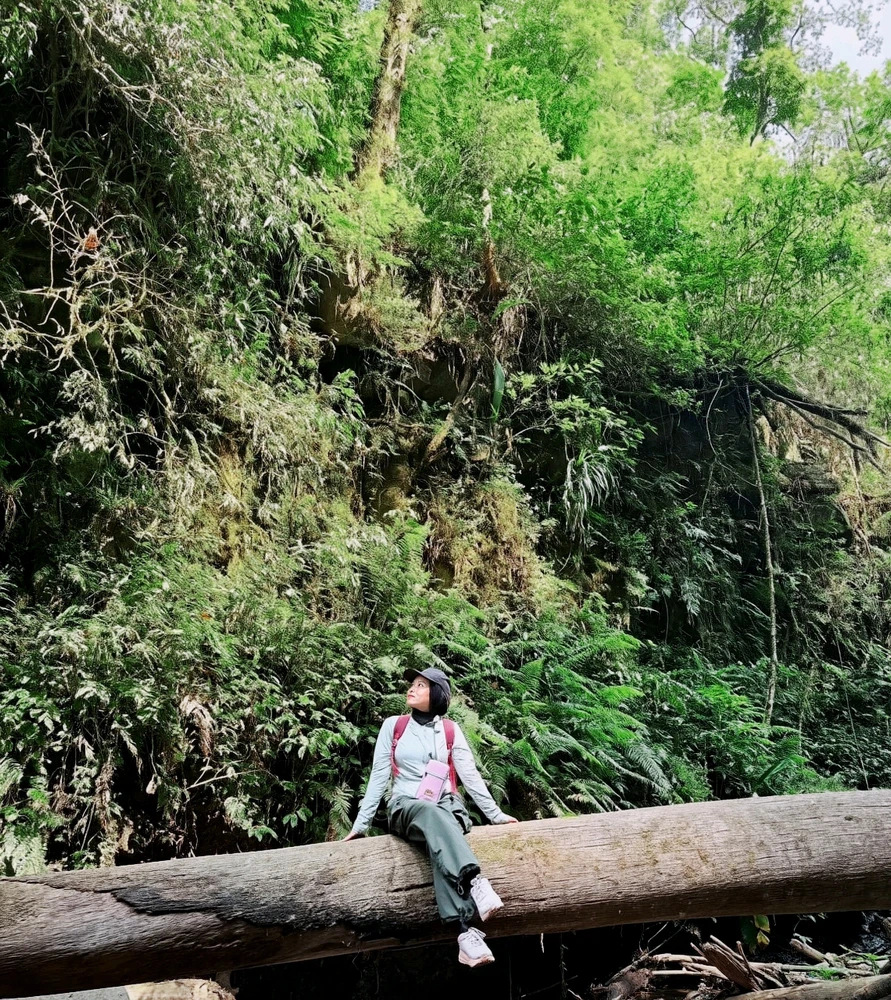 GIF yakaiswa naHerlina