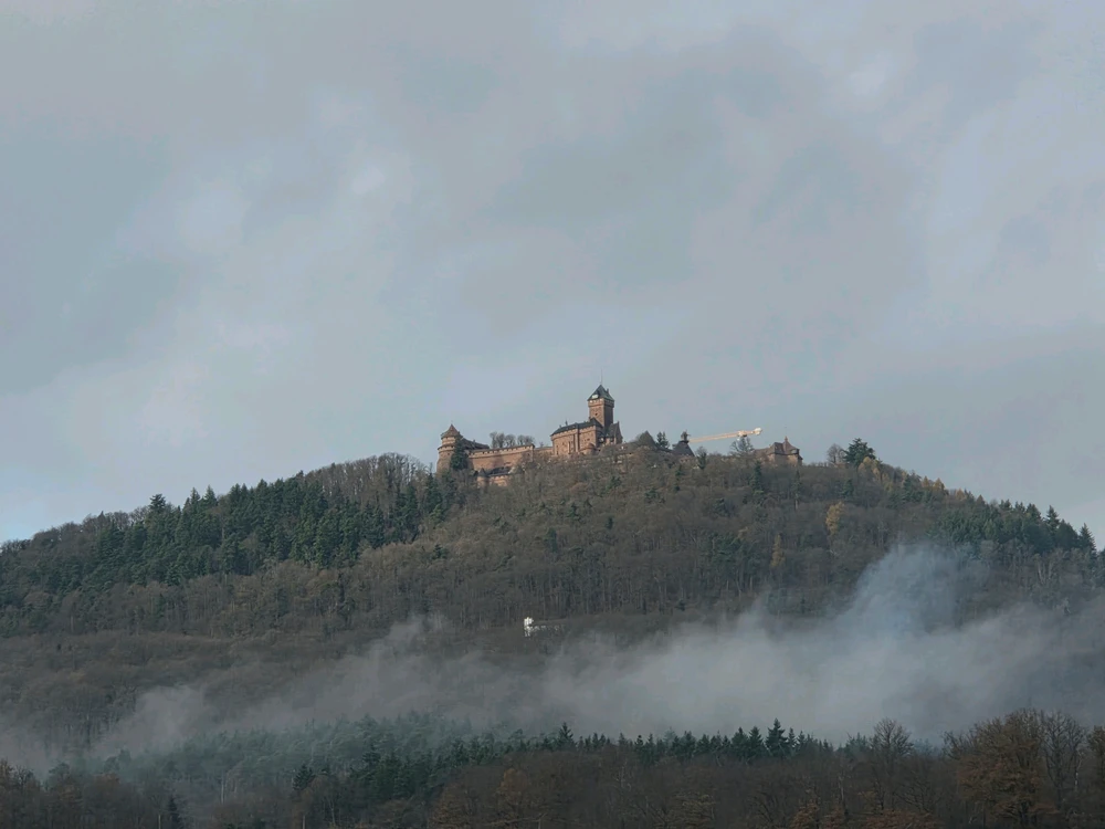 GIF hochgeladen von Sean
