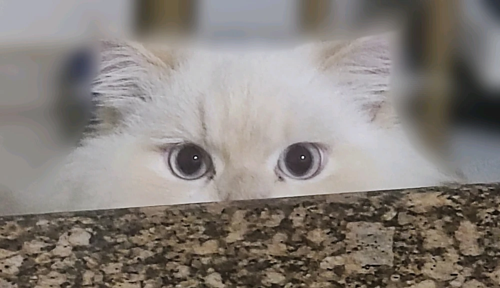 GIF postavljen od Sky