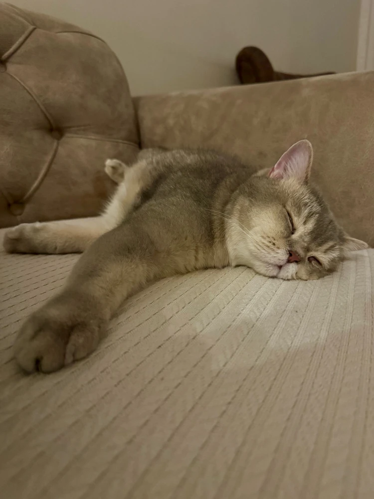 Image uploaded by JF