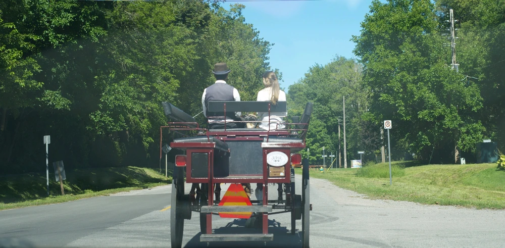 GIF uploaded by RR