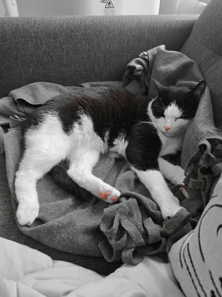 GIF uploaded by Mi