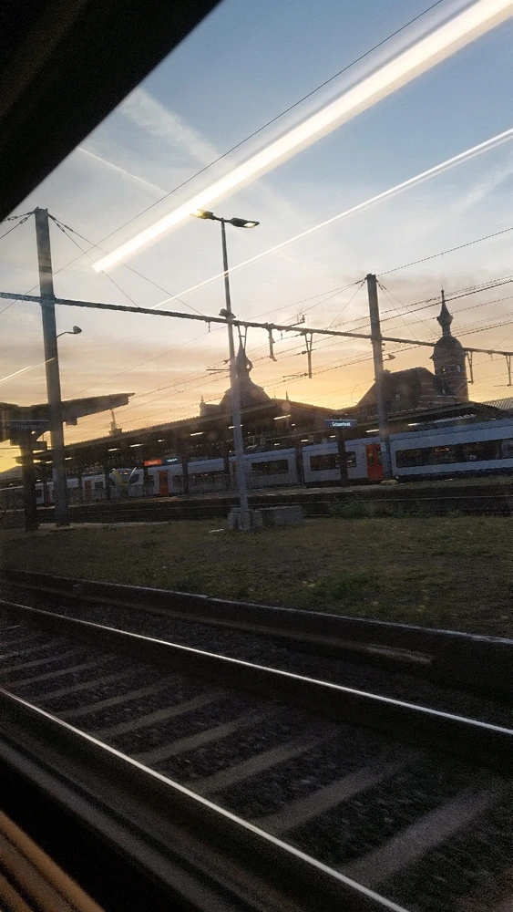 Image uploaded by Diederik