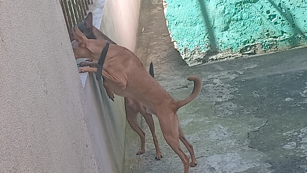 GIF được Jiniani tải lên