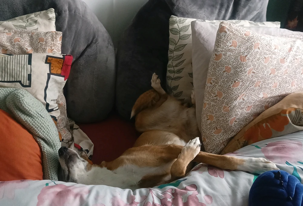 Ảnh do Luna tải lên