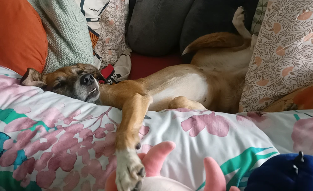 Ảnh do Luna tải lên