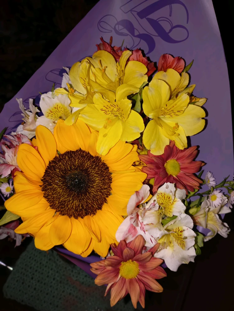 Image uploaded by Alexa