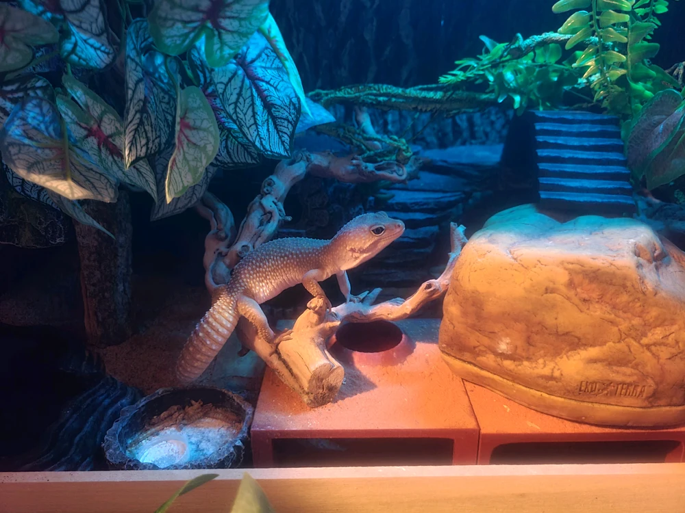 GIF uploaded by Damien