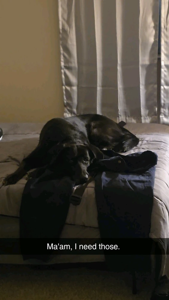 GIF učitao/la Charles