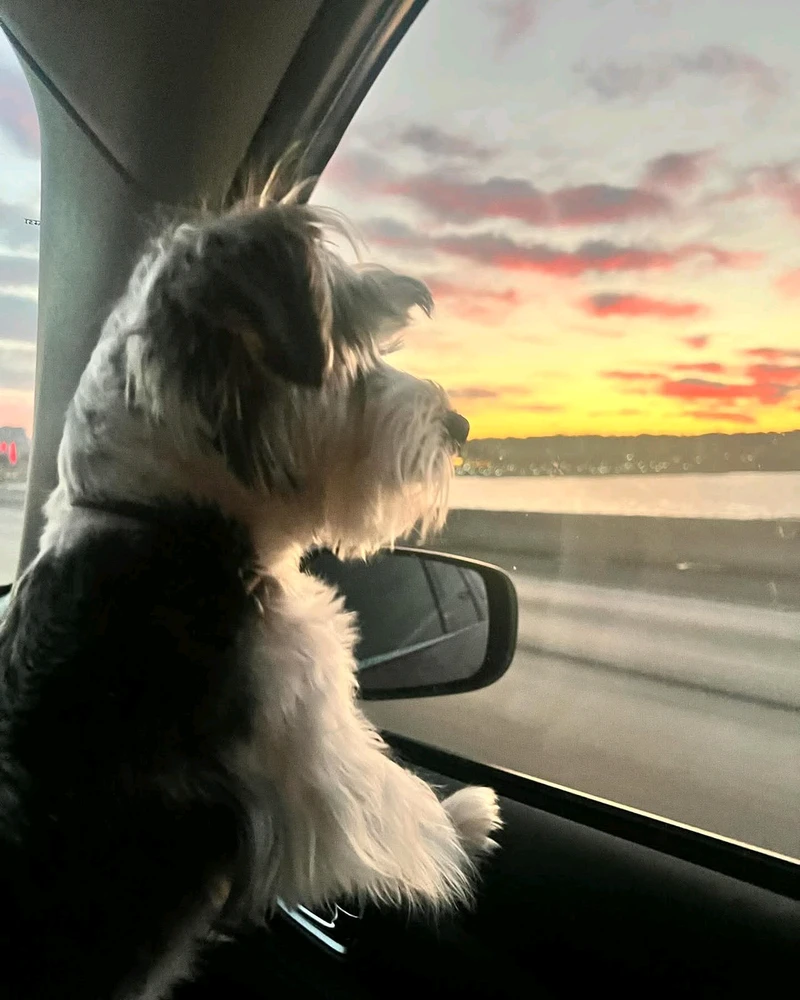 GIF uploaded by Aminxi