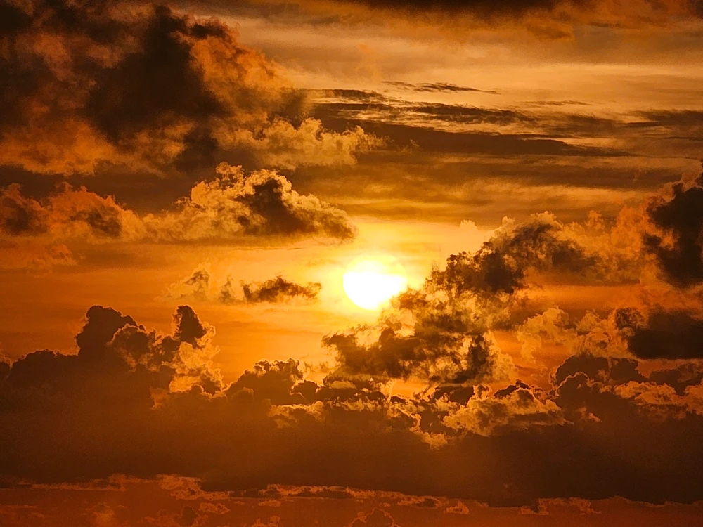 تصویر آپلود شده توسط Charlotte Joy