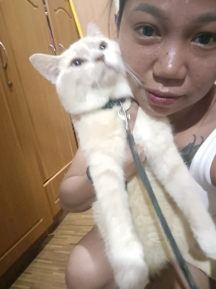 GIF Cathy te mete