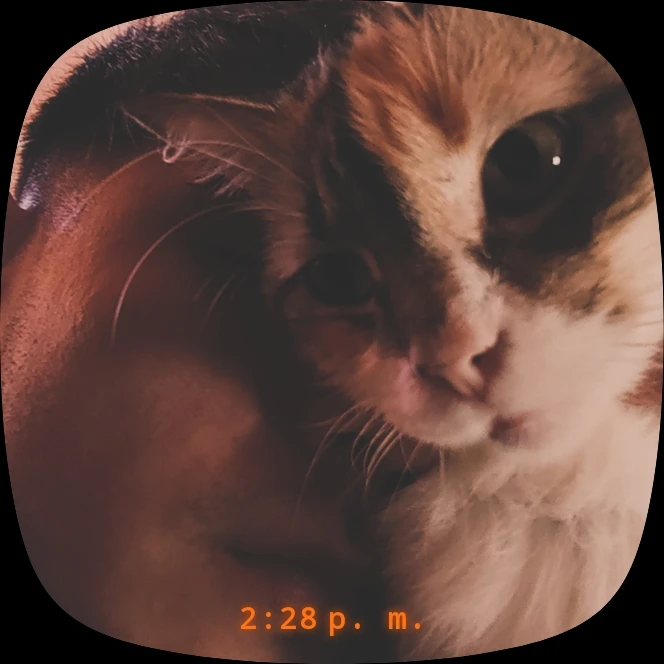 GIF uploaded by Marcelo