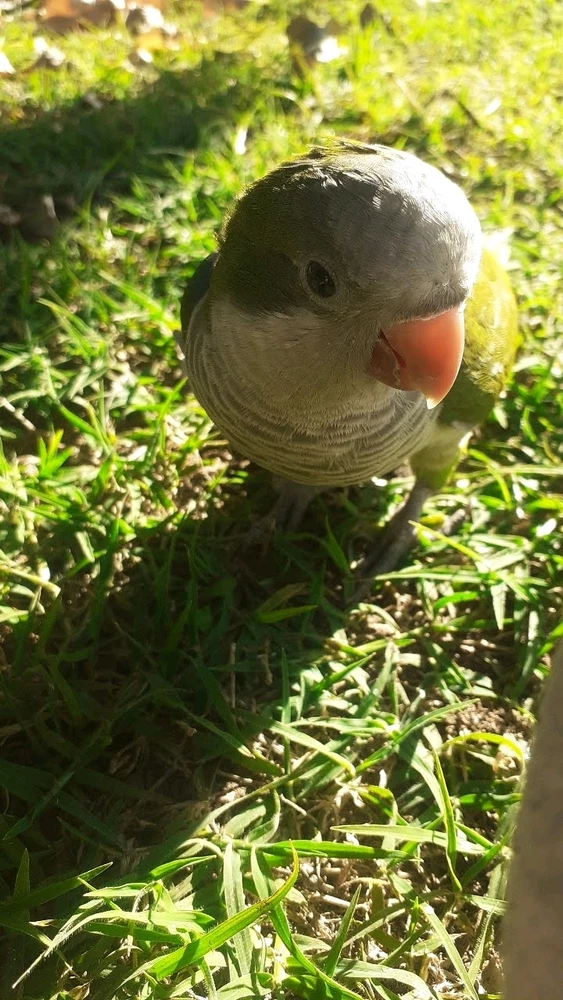 GIF uploaded by Natta