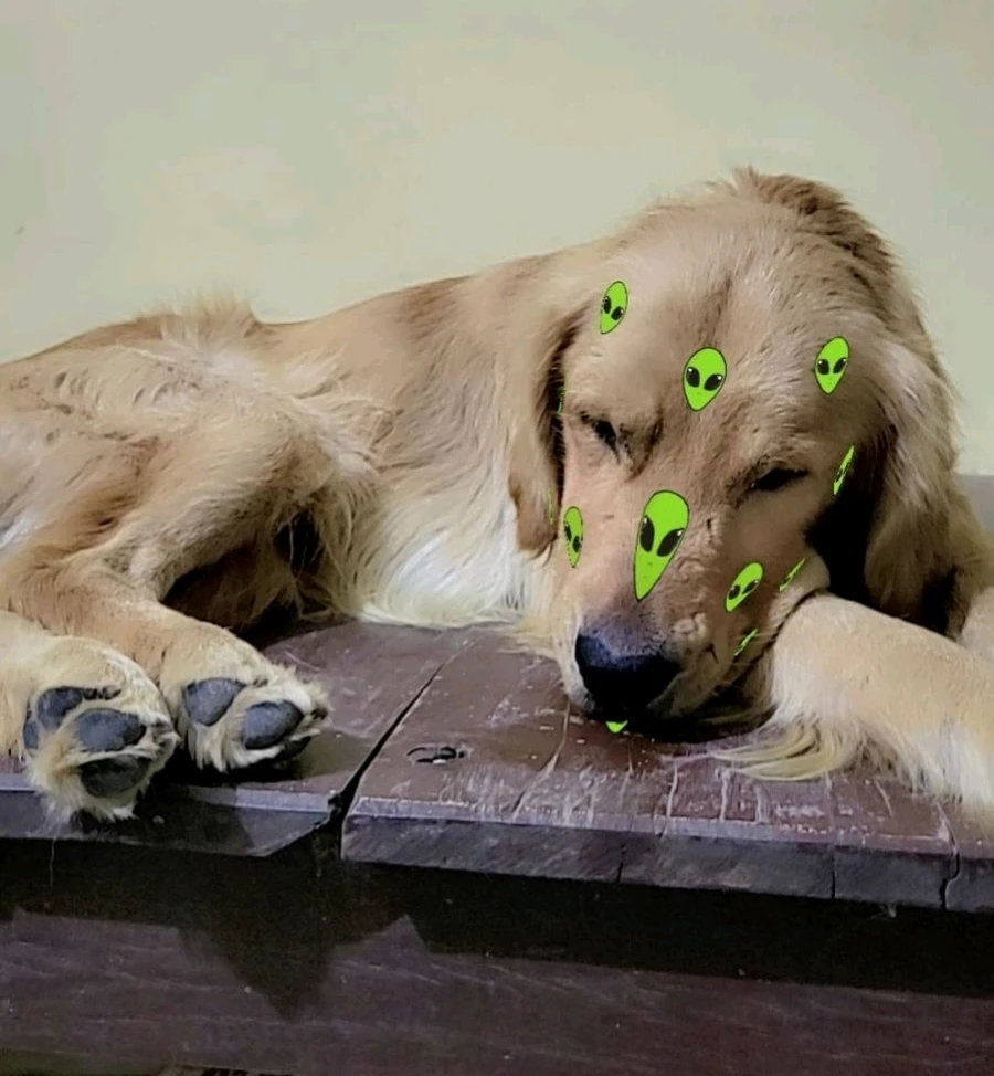 GIF pujat per Garry