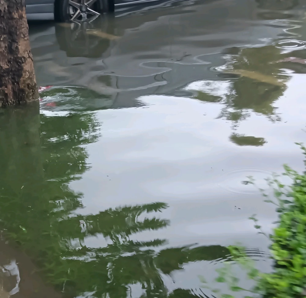 GIF ngarkuar nga Amy
