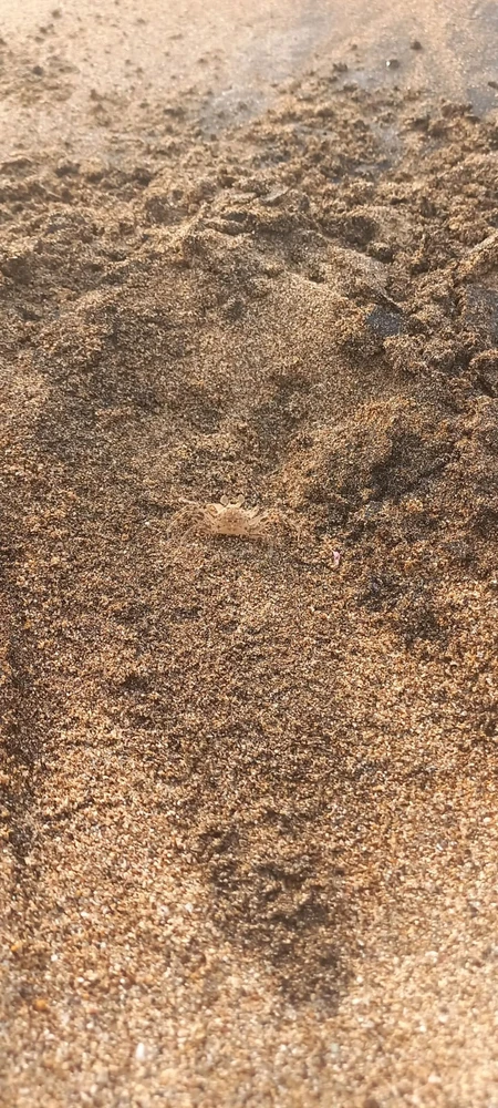 GIF eropgeluede vum Eva