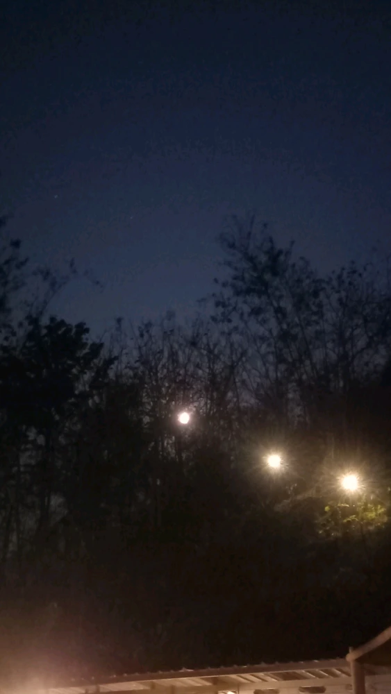 GIF diunggah ku Lakshmi Ariyiani