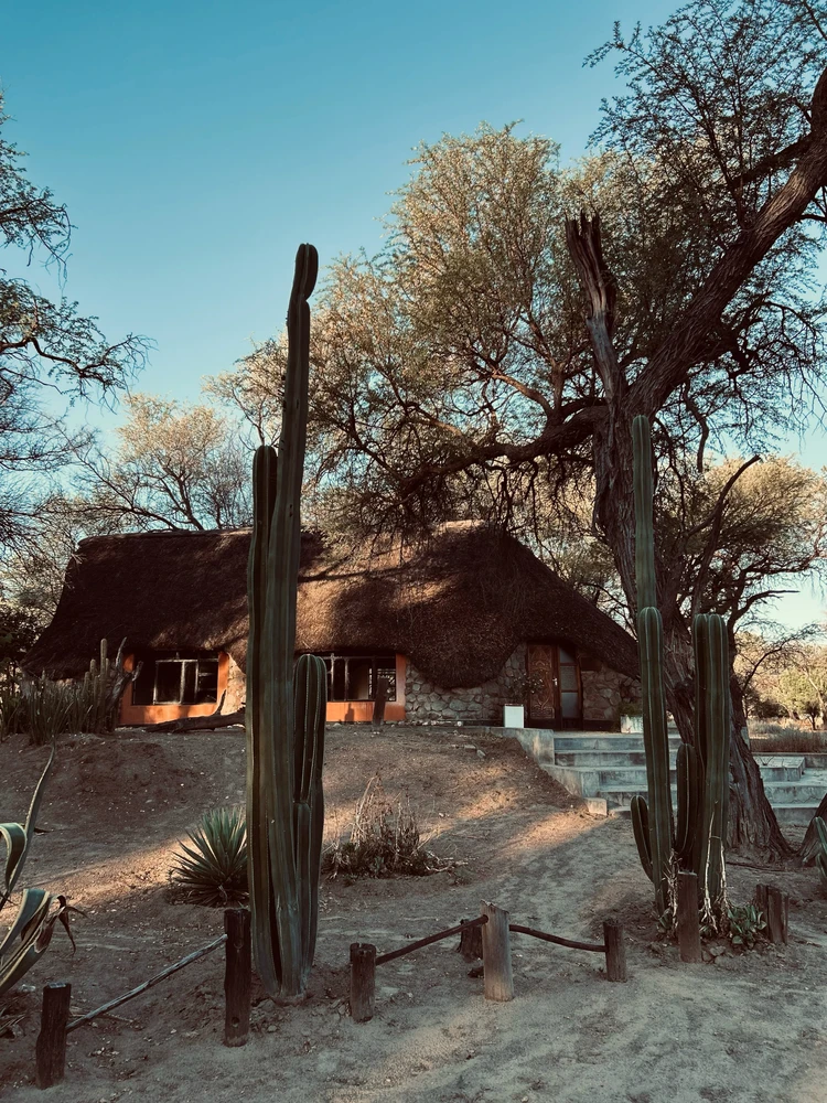 GIF uploaded by Selma 🧚🏽‍♀️