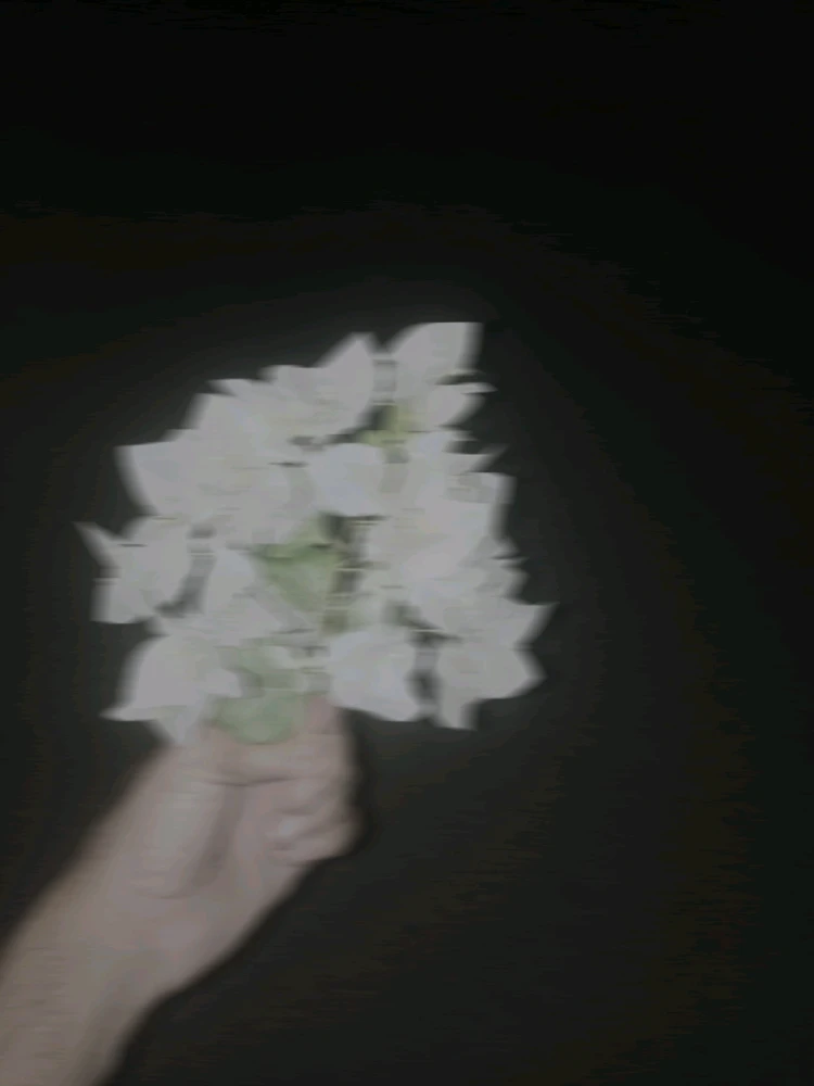 GIF otpremio/la Muhammad Hassan